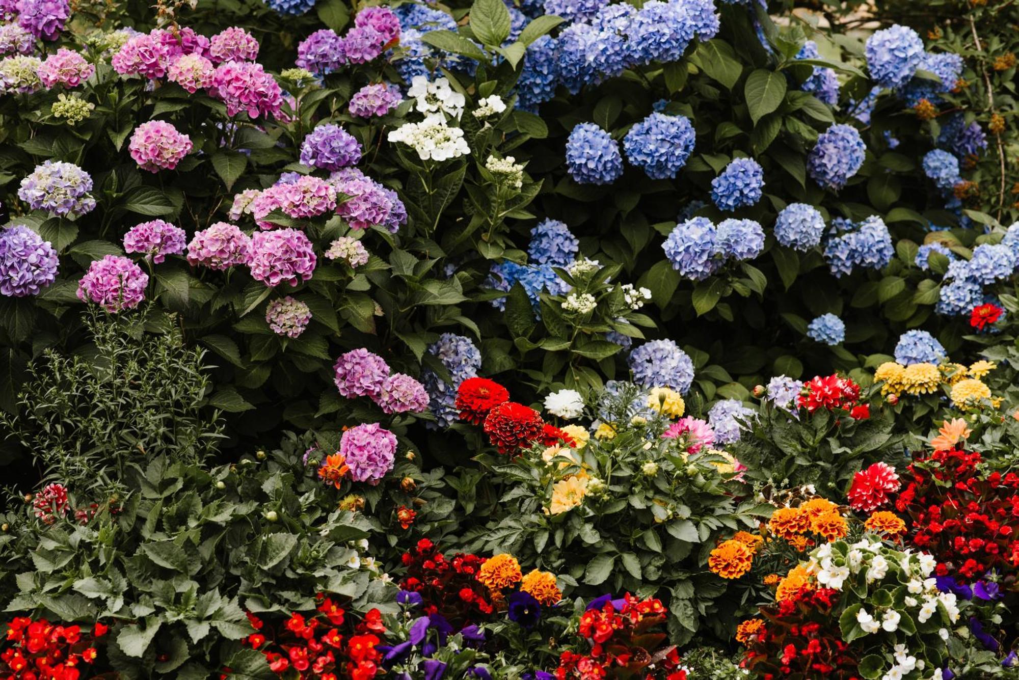 Pensjonat Lesny Dworek Spa & Garden Uzdrowisko Wsrod Natury Cisów Exteriör bild